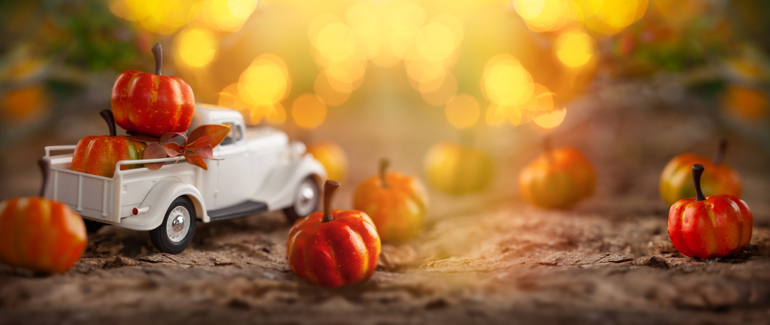 White retro truck with pumpkins in forest with festive bokeh bac