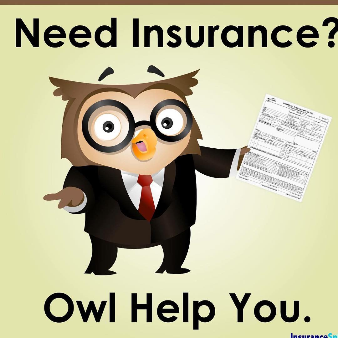 Owl_Help_You